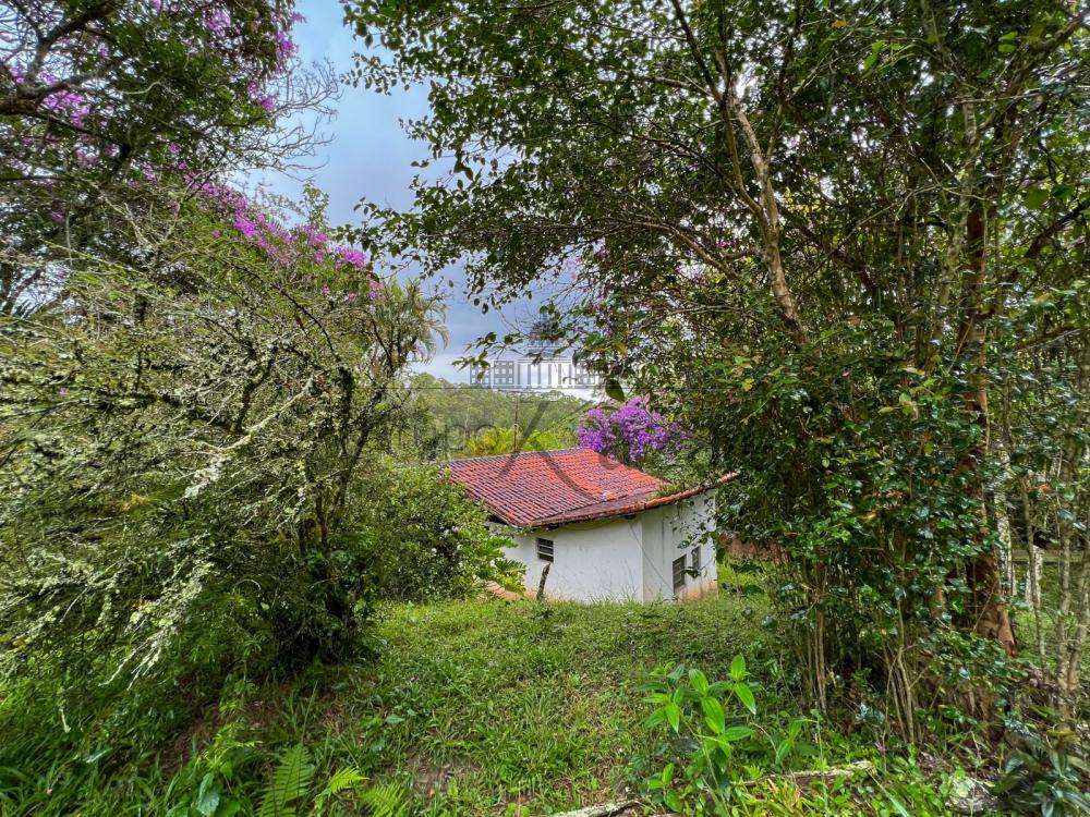 Foto 9 de Rural Chácara em Jardim Torrão de Ouro, São José dos Campos - imagem 9