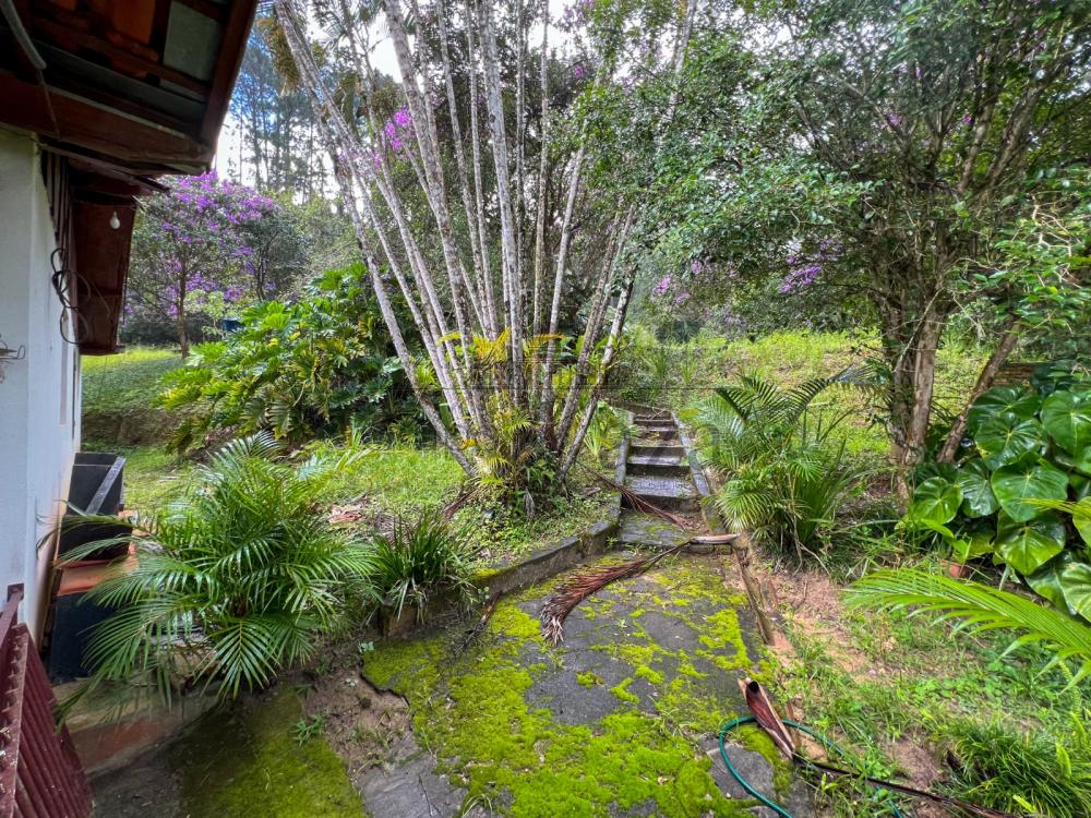 Foto 13 de Rural Chácara em Jardim Torrão de Ouro, São José dos Campos - imagem 13