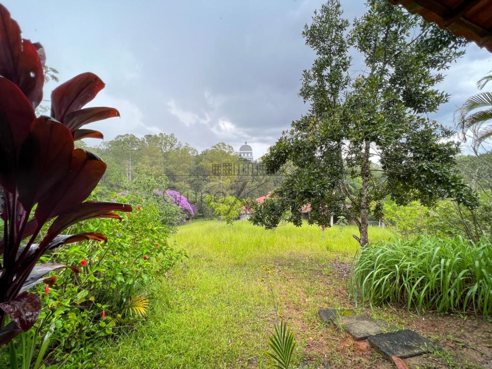 Foto 14 de Rural Chácara em Jardim Torrão de Ouro, São José dos Campos - imagem 14