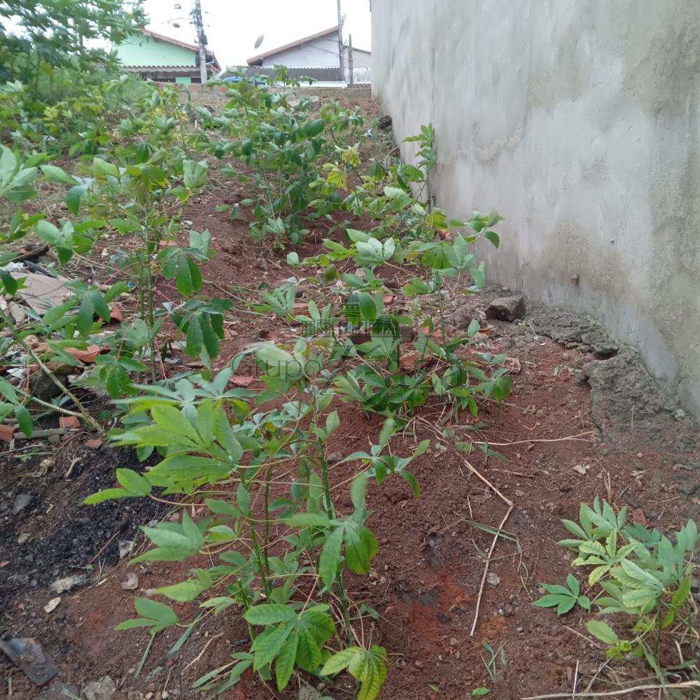 Foto 3 de Terreno Padrão em Jardim Cruzeiro do Sul, São José dos Campos - imagem 3