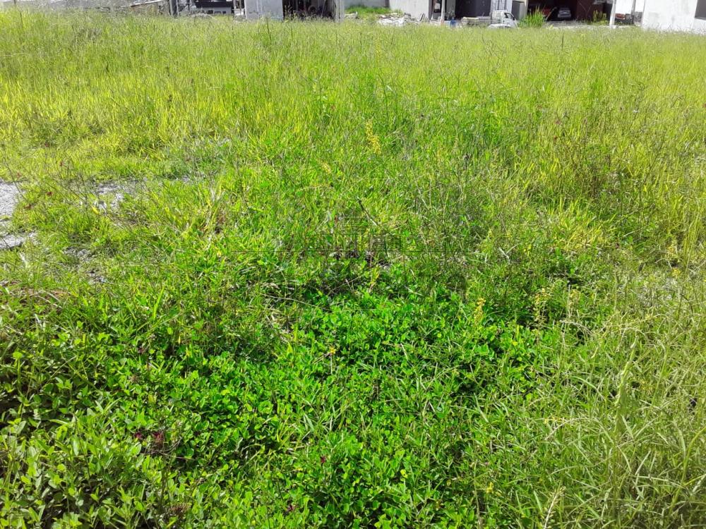 Foto 1 de Terreno Condomínio em Residencial Colinas, Caçapava - imagem 1 Foto 1 de Terreno Condomínio em Residencial Colinas, Caçapava - imagem 1