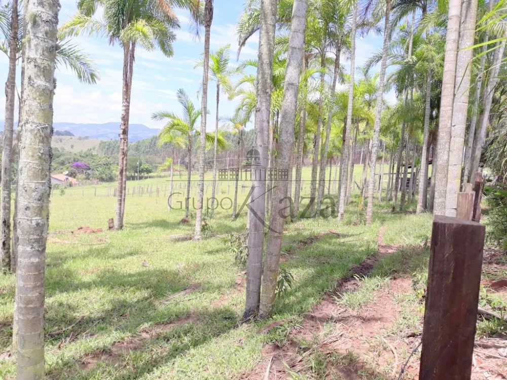 Foto 18 de Rural Sítio em Jardim Santa Hermínia, São José dos Campos - imagem 18