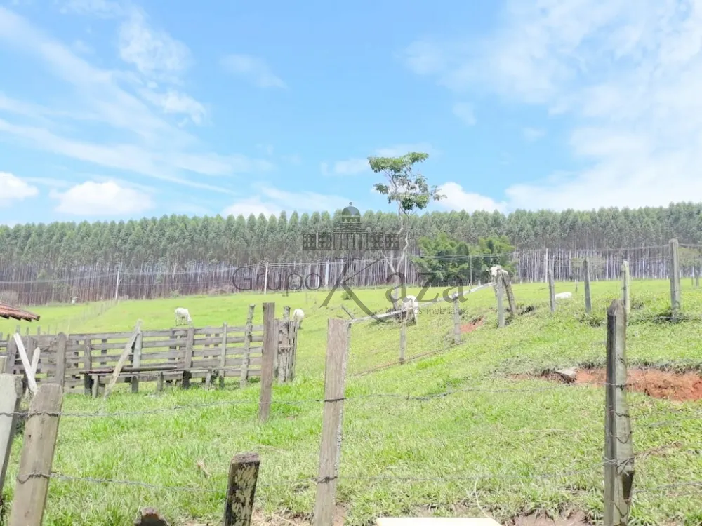 Foto 11 de Rural Sítio em Jardim Santa Hermínia, São José dos Campos - imagem 11