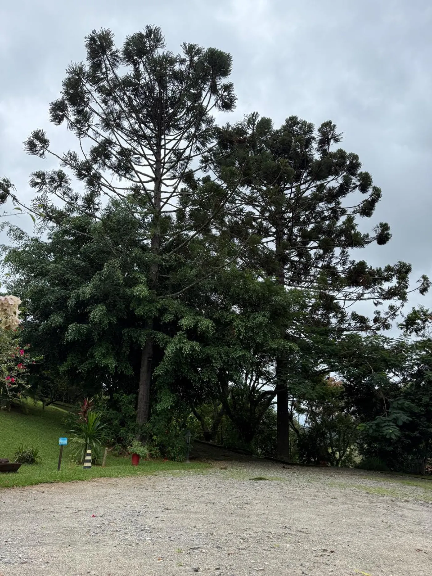 Foto 10 de Rural Sítio em Jaguari, Jacareí - imagem 10