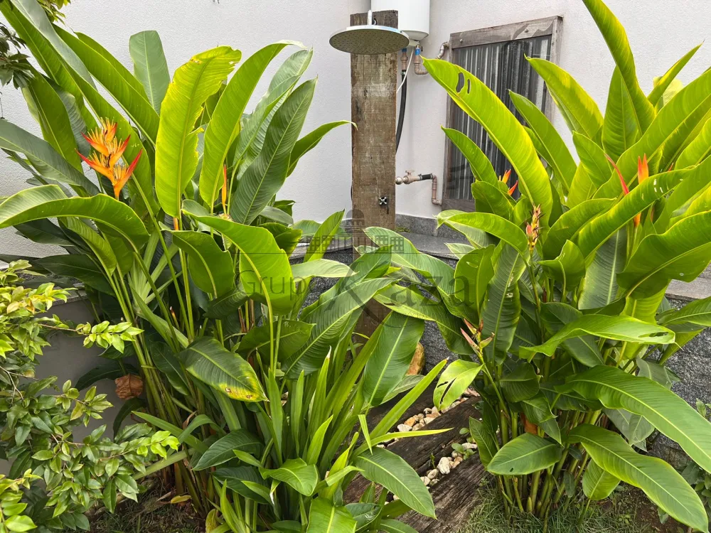 Foto 40 de Casa Sobrado em Jardim Esplanada II, São José dos Campos - imagem 40