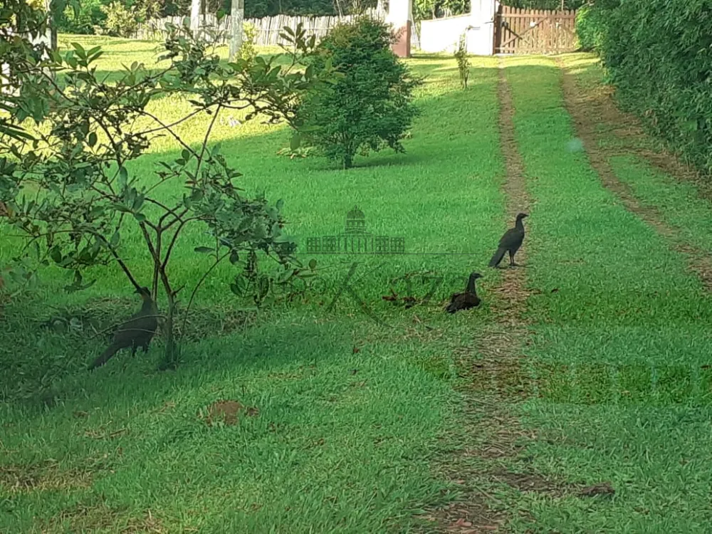 Foto 31 de Rural Chácara em Buquirinha, São José dos Campos - imagem 31