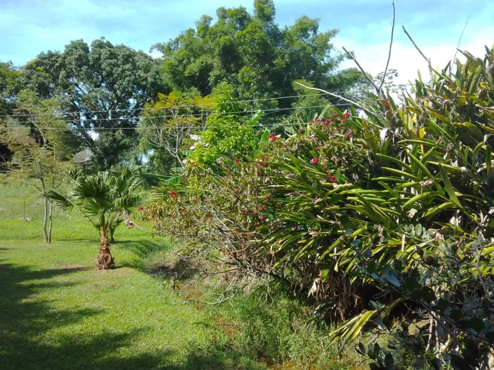 Foto 21 de Rural Chácara em Buquirinha, São José dos Campos - imagem 21