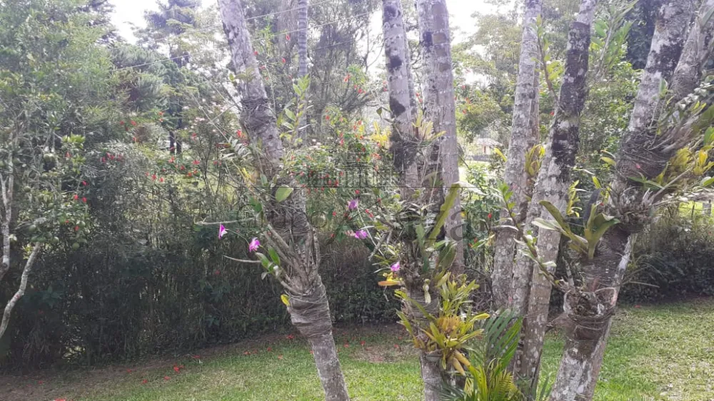 Foto 30 de Rural Chácara em Buquirinha, São José dos Campos - imagem 30