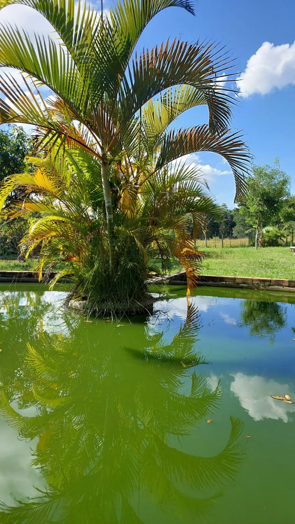 Foto 18 de Rural Chácara em Vila Menino Jesus, Caçapava - imagem 18
