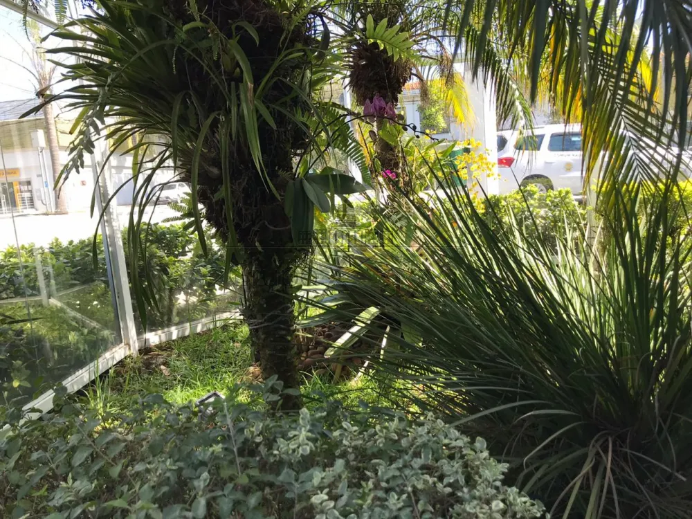 jardim