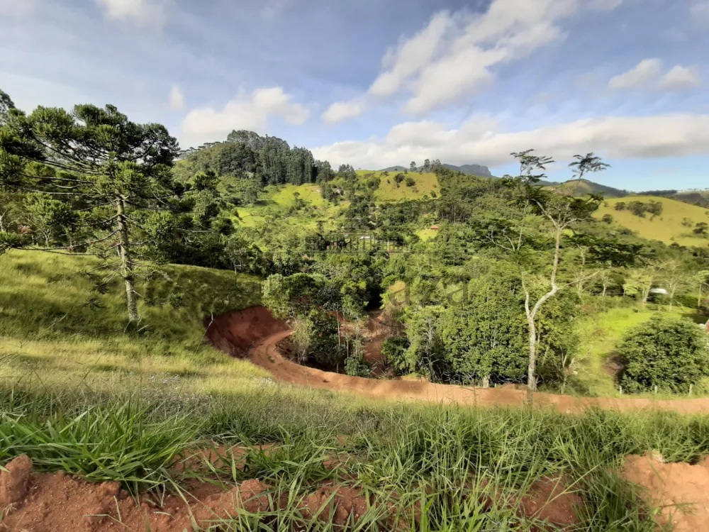 Foto 4 de Rural sem benfeitorias Área sem benfeitorias em São Francisco Xavier, São José dos Campos - imagem 4