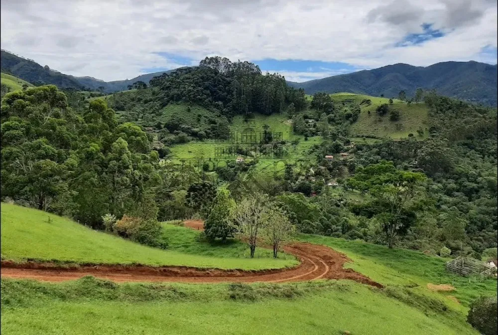 Foto 2 de Rural sem benfeitorias Área sem benfeitorias em São Francisco Xavier, São José dos Campos - imagem 2