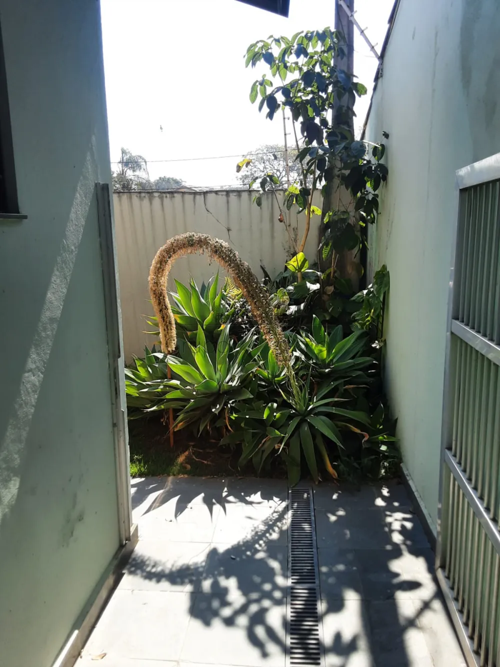 Foto 45 de Casa Edicula em Jardim Siesta, Jacareí - imagem 45