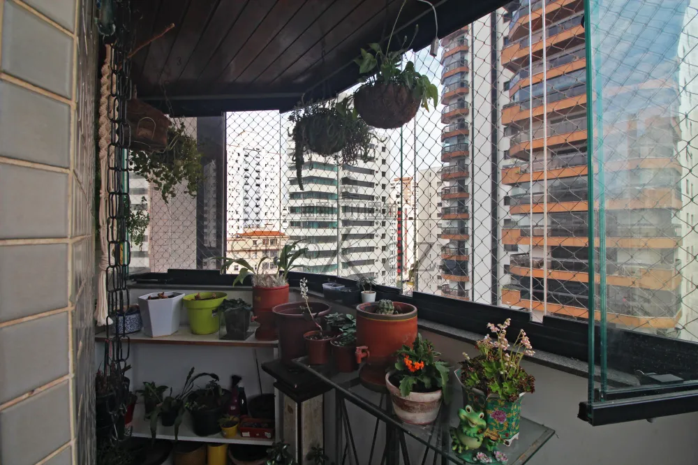 Foto 9 de Apartamento Padrão em Aclimação, São Paulo - imagem 9