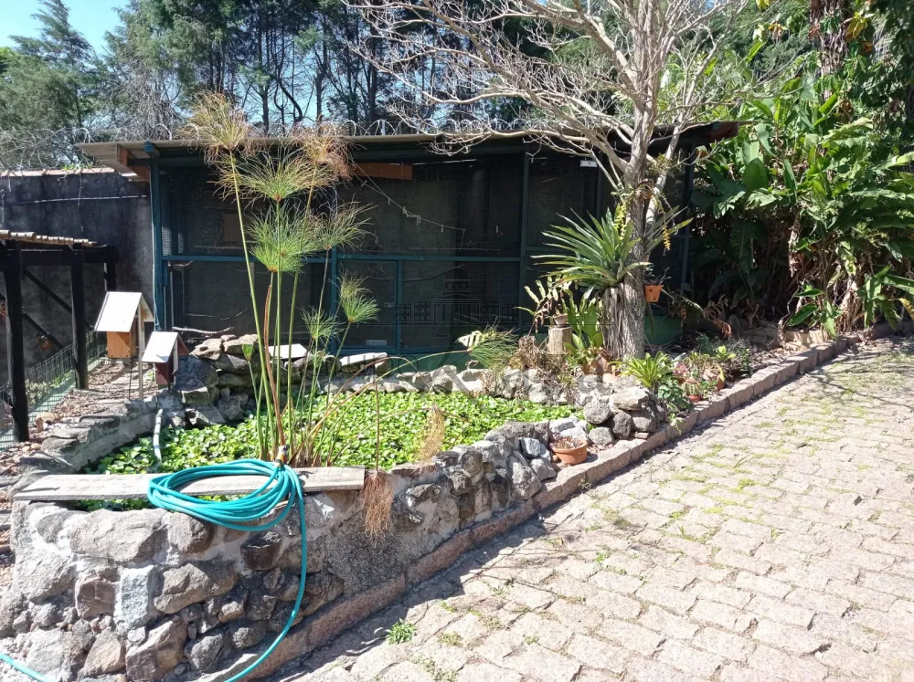 Foto 30 de Casa Condomínio em Chácara Canta Galo, Cotia - imagem 30