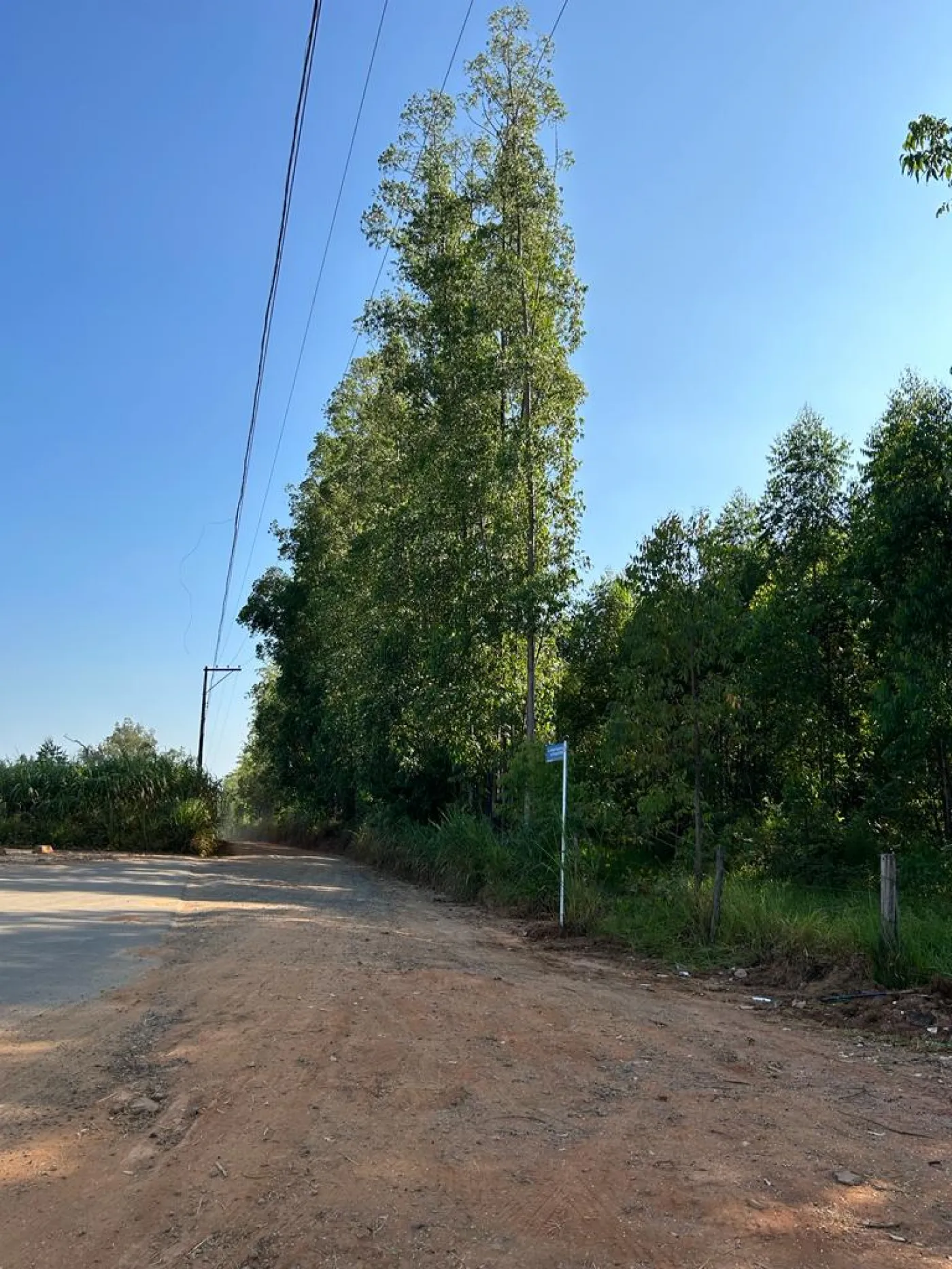 Foto 5 de Rural sem benfeitorias Área sem benfeitorias em Sousas, Campinas - imagem 5