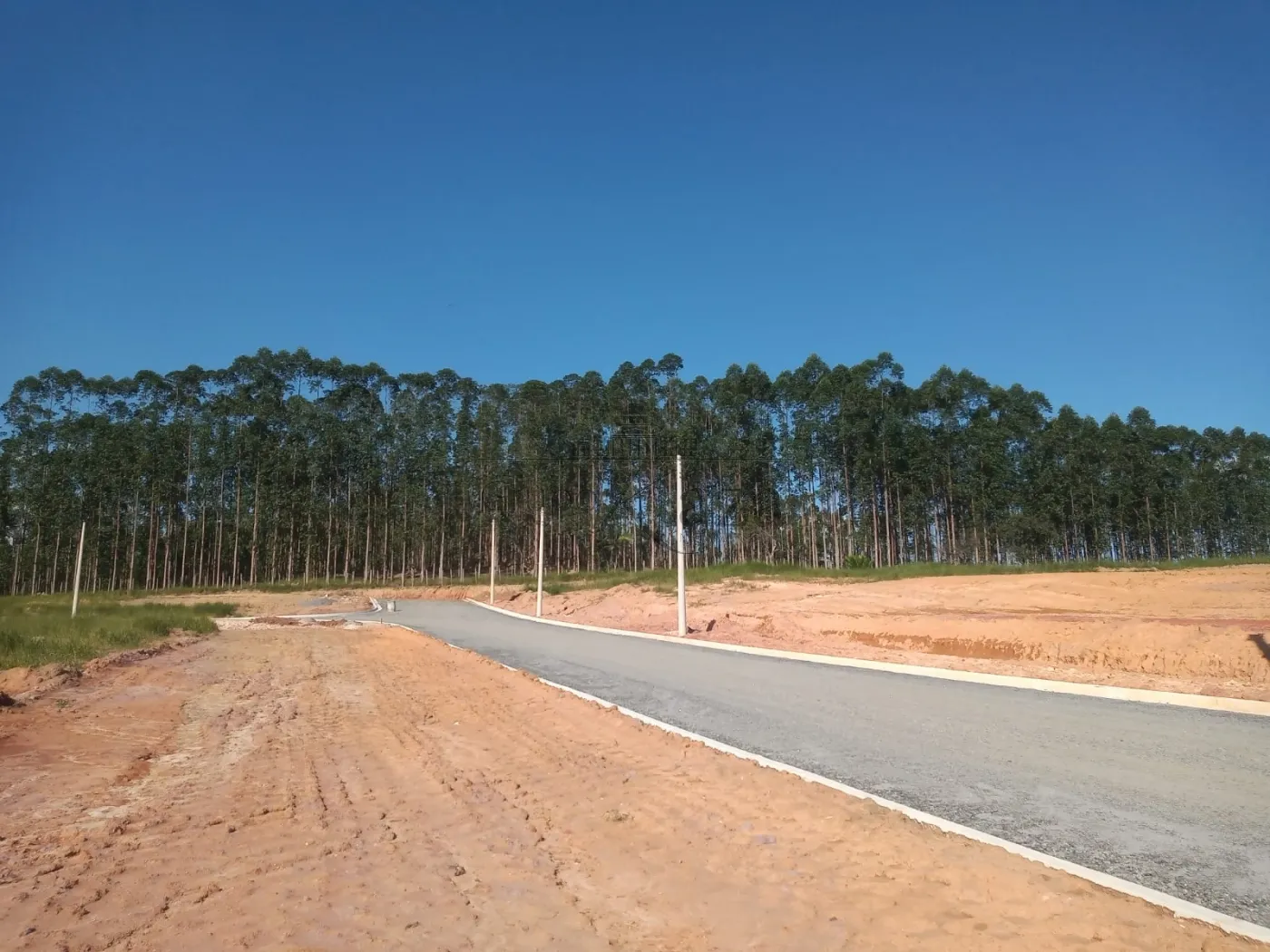 Foto 7 de Terreno Padrão em Vila das Flores, São José dos Campos - imagem 7