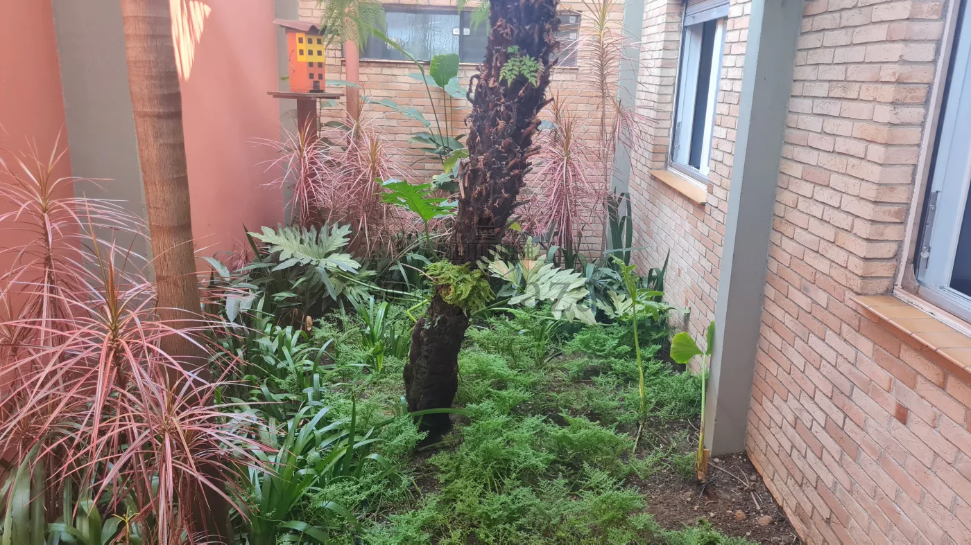 Jardim