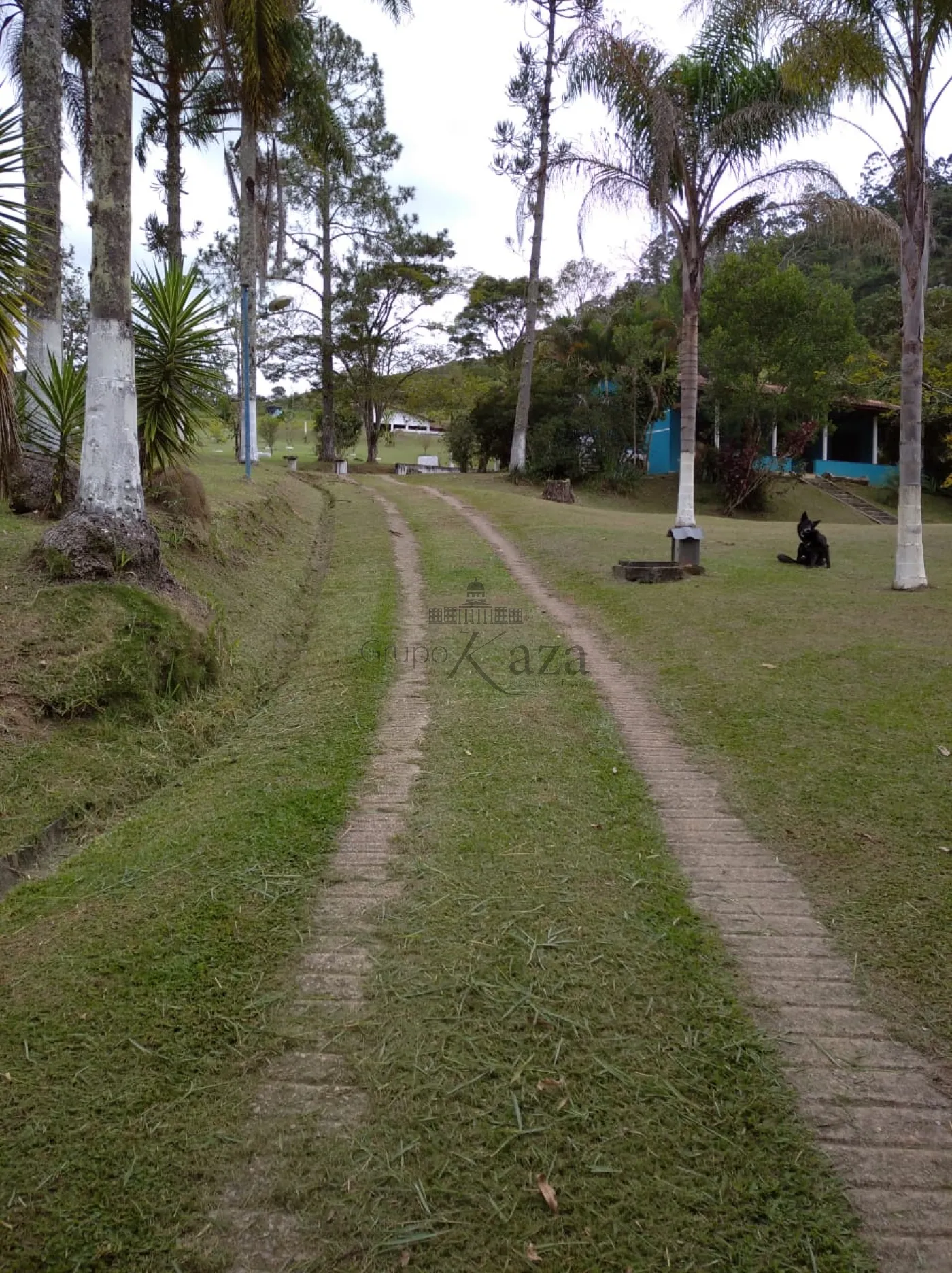 Foto 46 de Rural Sítio em Bairro dos Freitas, São José dos Campos - imagem 46