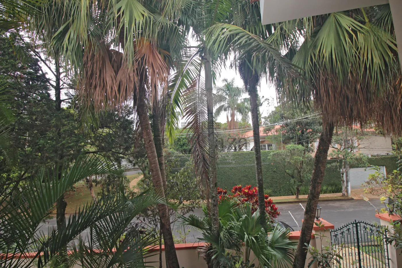Foto 19 de Casa Comercial  Residencial em Jardim Guedala, São Paulo - imagem 19
