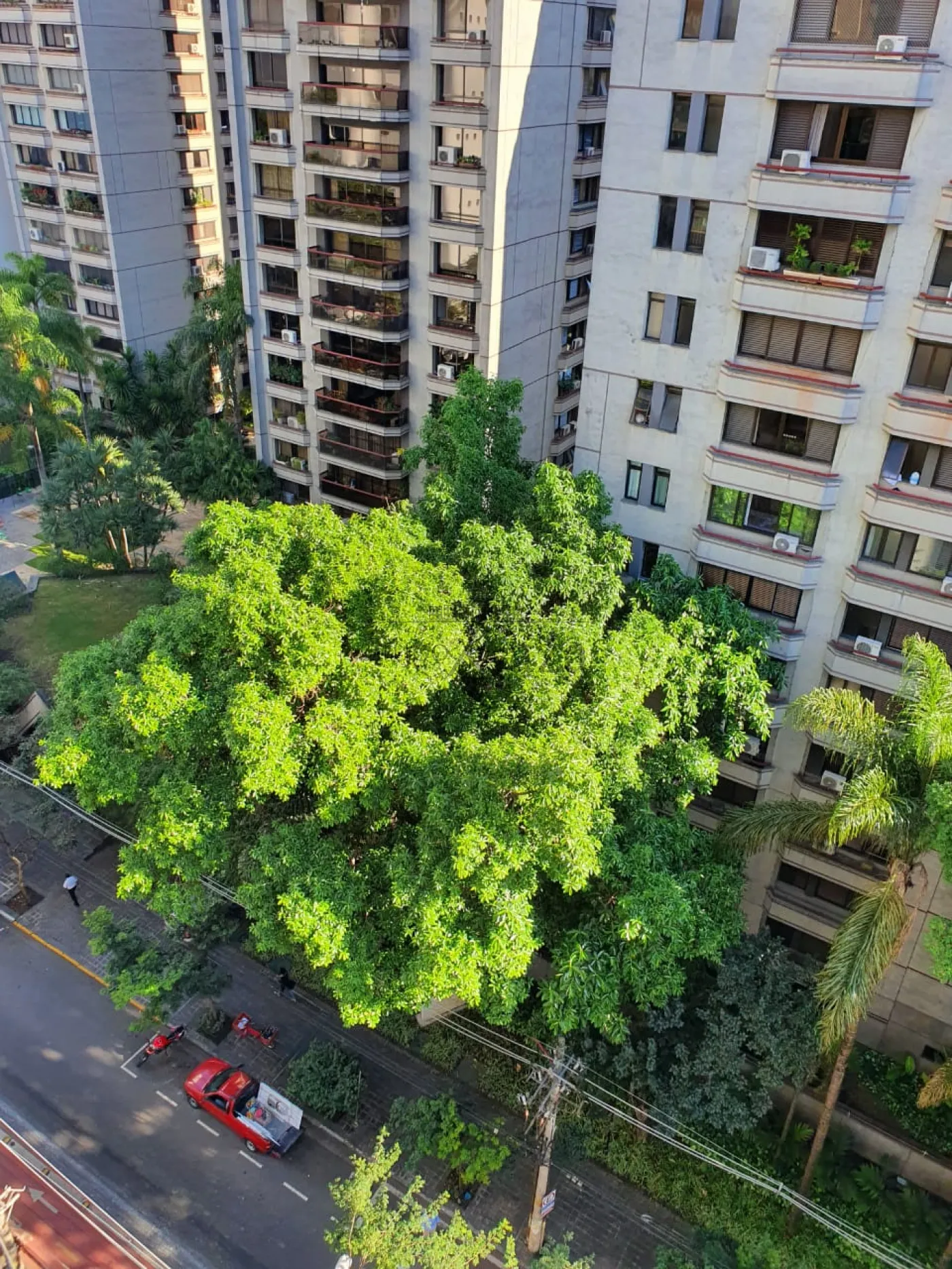 vista