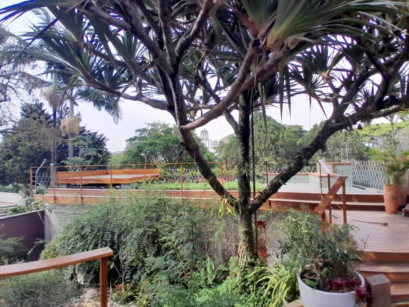Foto 70 de Casa Padrão em Alto de Pinheiros, São Paulo - imagem 70