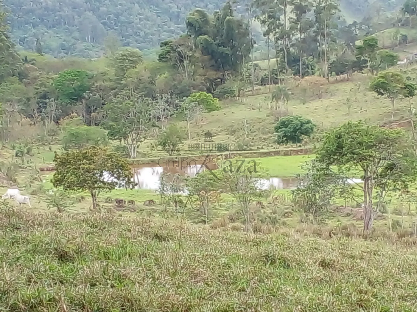 Foto 34 de Rural Fazenda em Chácara Itapoã, Jacareí - imagem 34