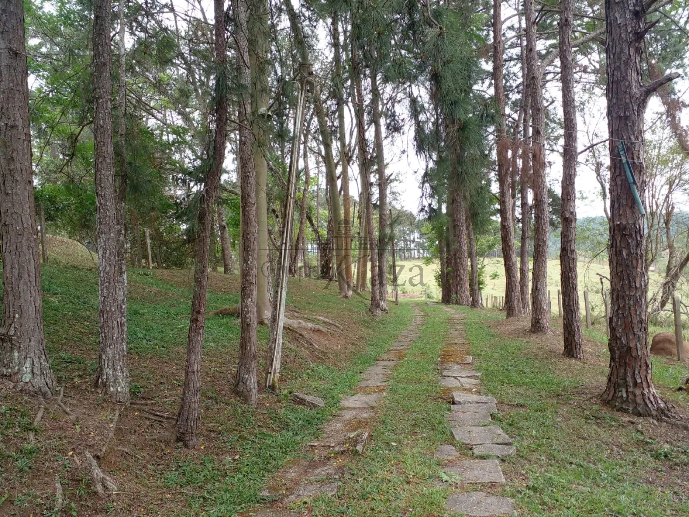 Foto 35 de Rural Fazenda em Chácara Itapoã, Jacareí - imagem 35