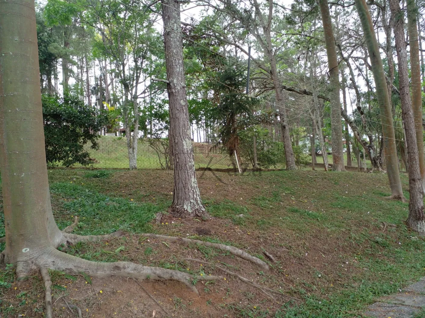 Foto 37 de Rural Fazenda em Chácara Itapoã, Jacareí - imagem 37