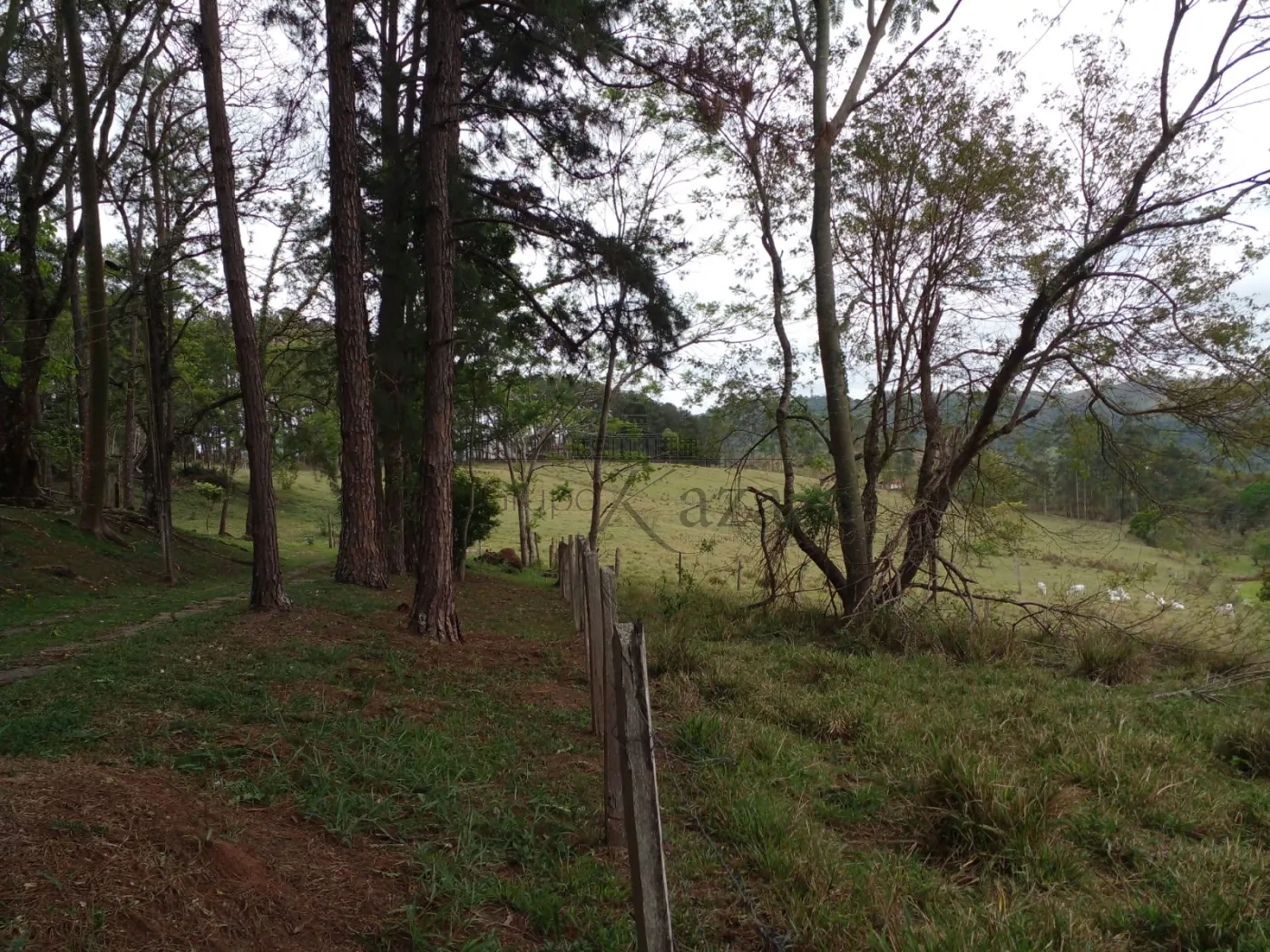 Foto 38 de Rural Fazenda em Chácara Itapoã, Jacareí - imagem 38