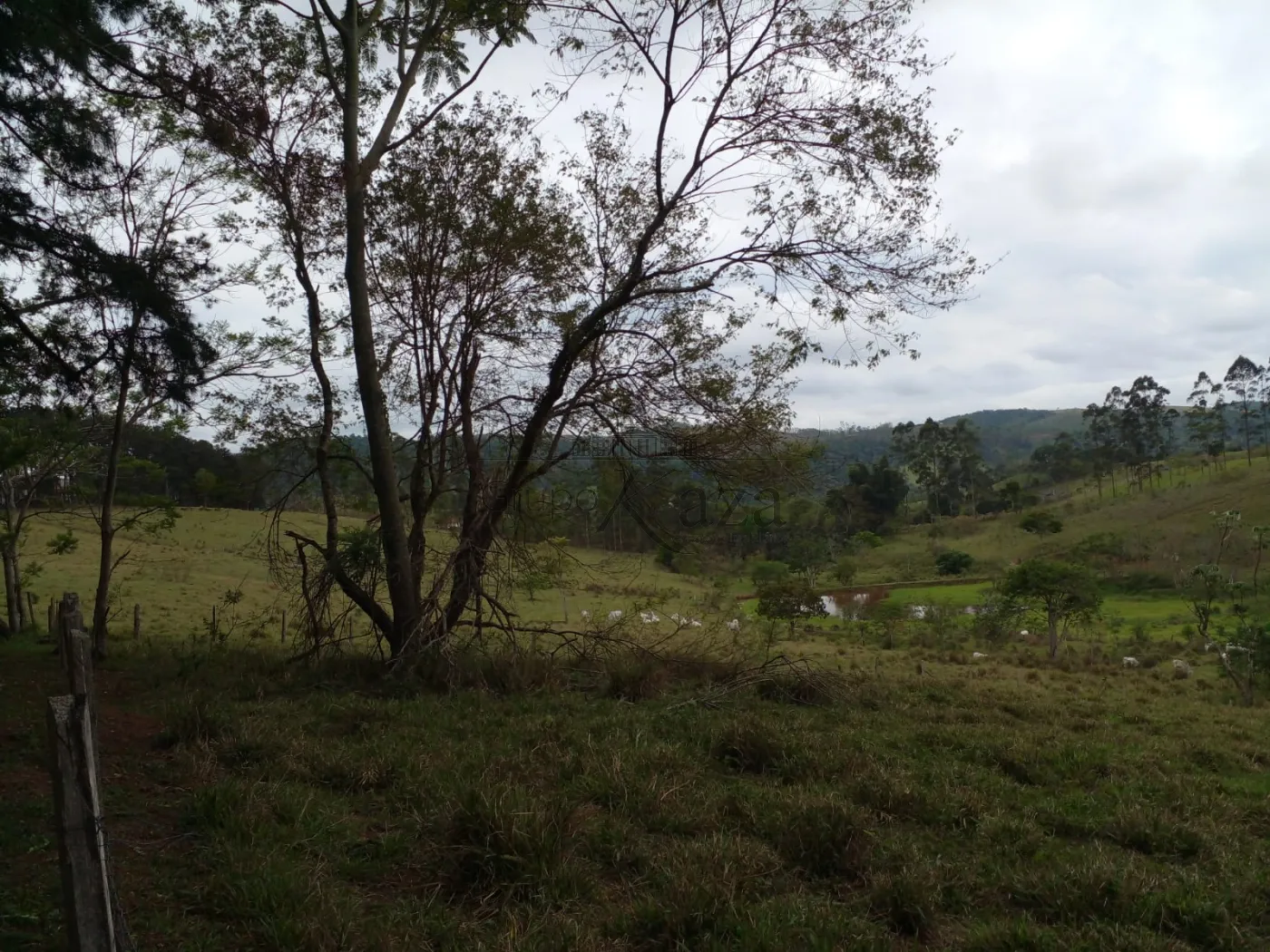 Foto 39 de Rural Fazenda em Chácara Itapoã, Jacareí - imagem 39