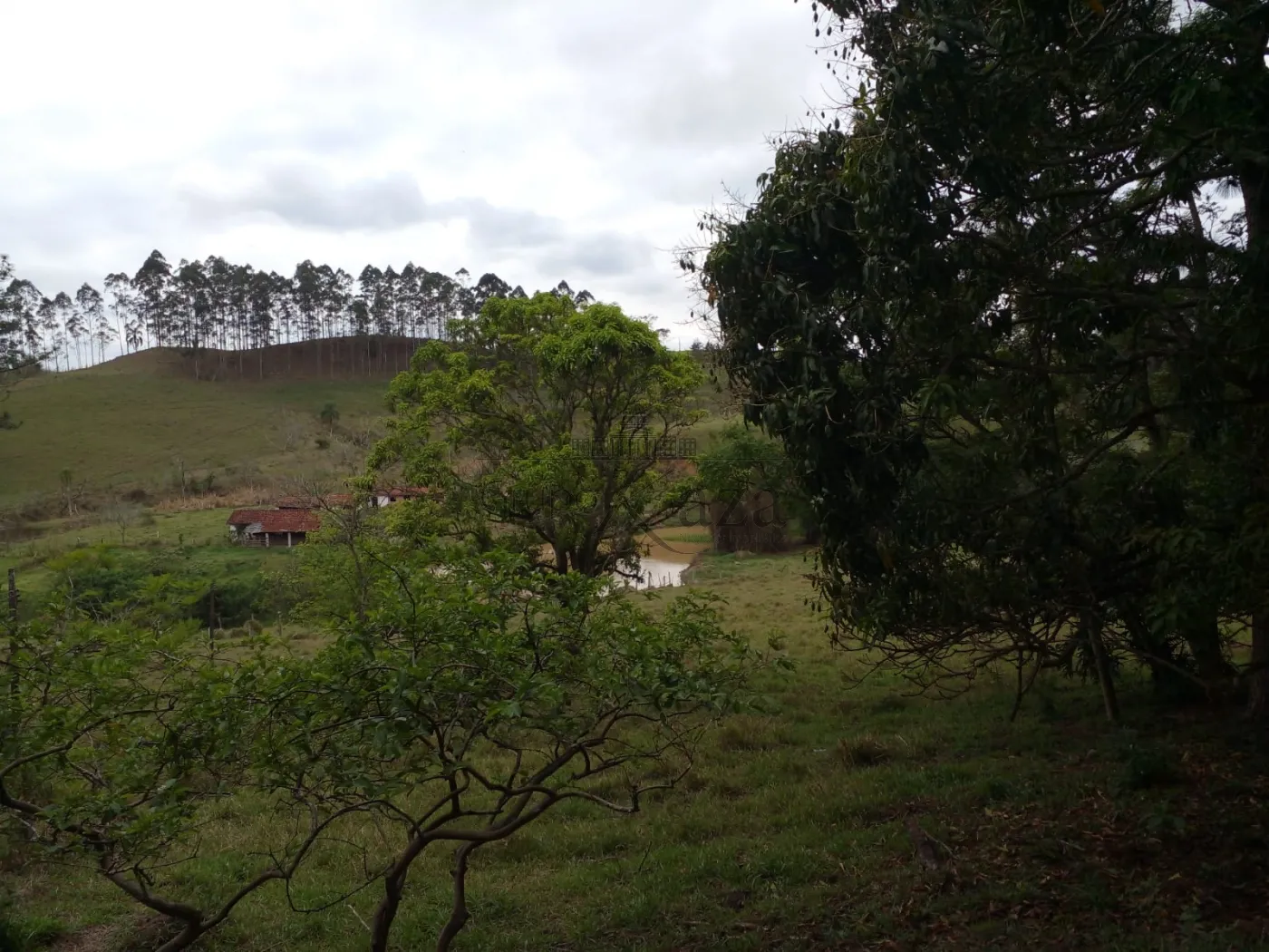Foto 42 de Rural Fazenda em Chácara Itapoã, Jacareí - imagem 42