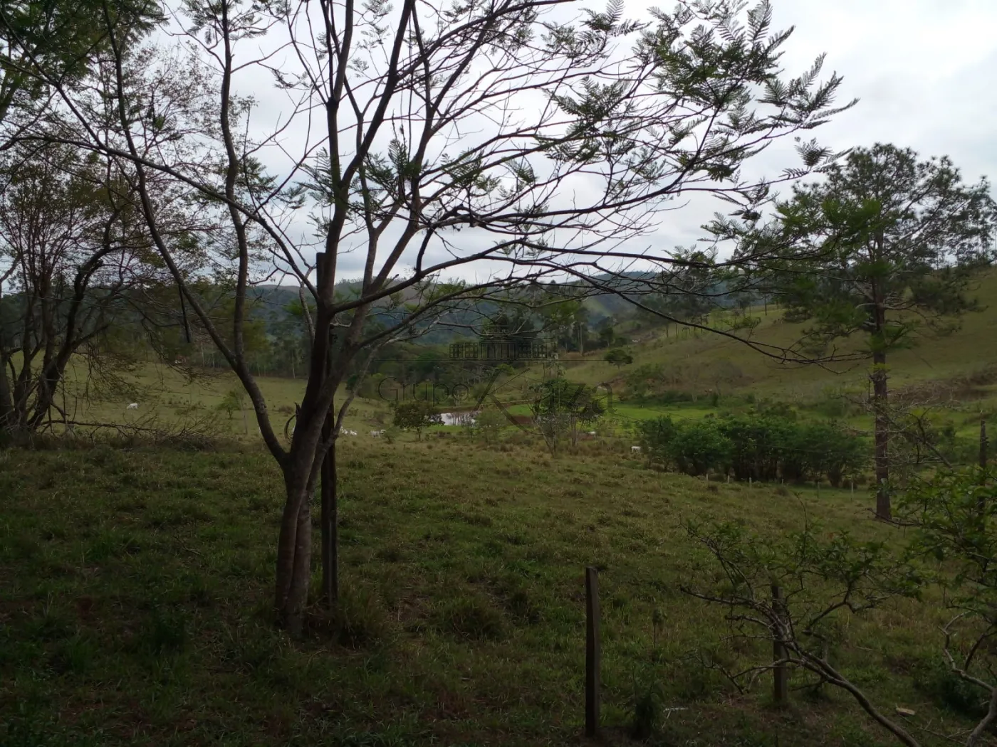 Foto 43 de Rural Fazenda em Chácara Itapoã, Jacareí - imagem 43