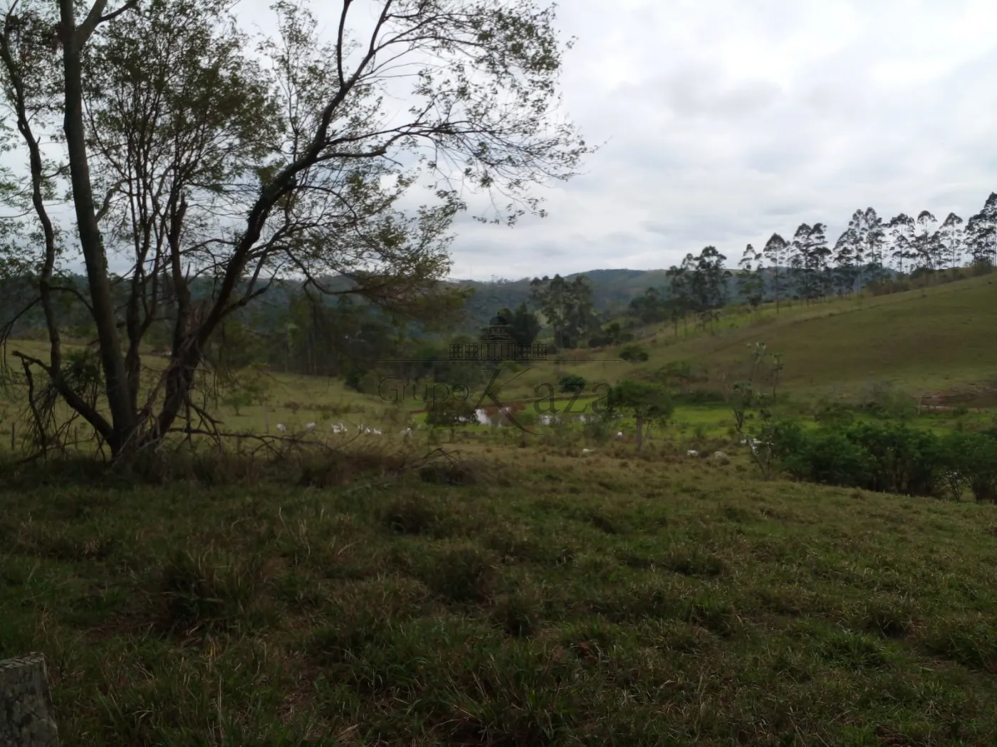 Foto 44 de Rural Fazenda em Chácara Itapoã, Jacareí - imagem 44