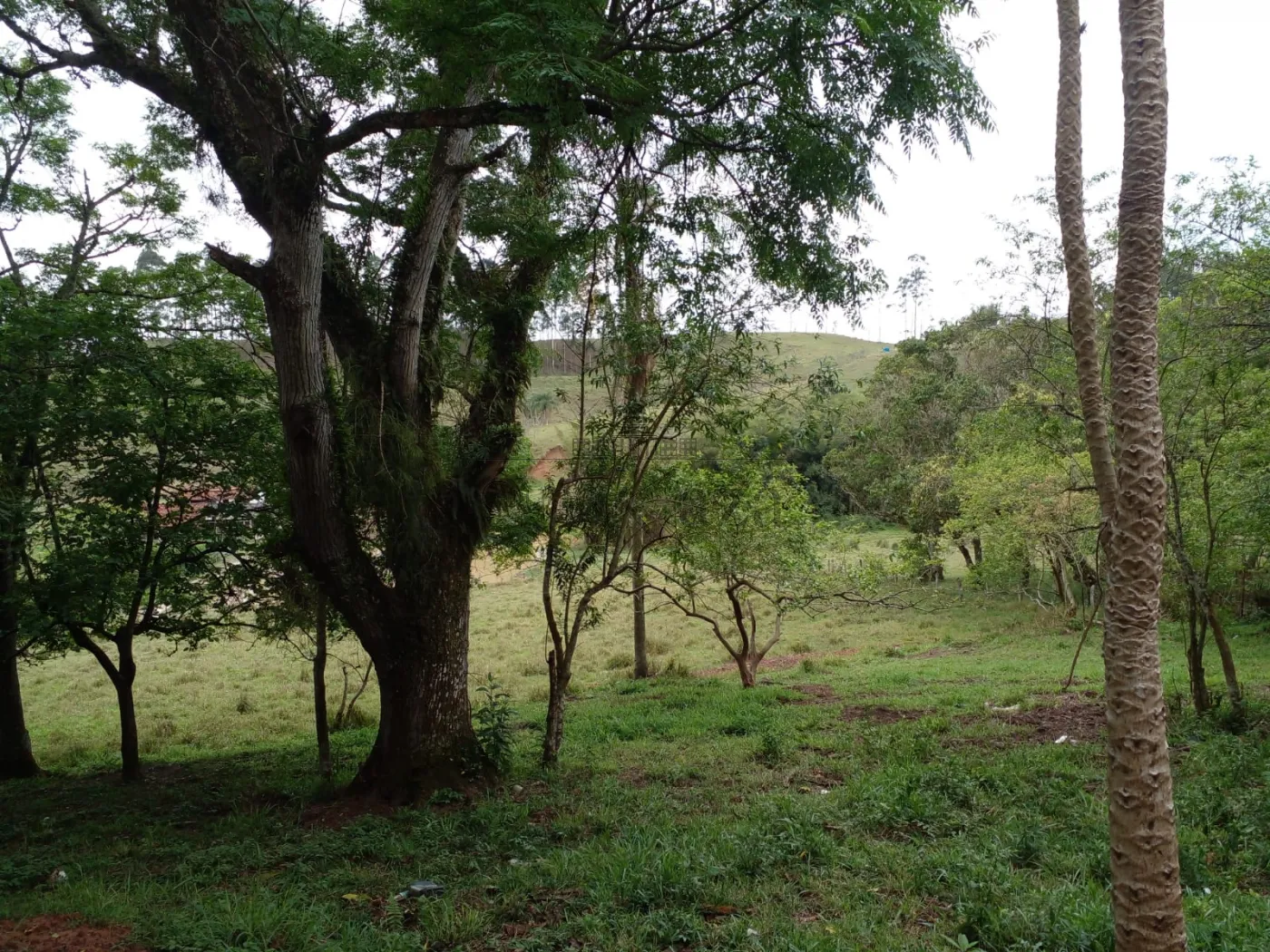 Foto 49 de Rural Fazenda em Chácara Itapoã, Jacareí - imagem 49