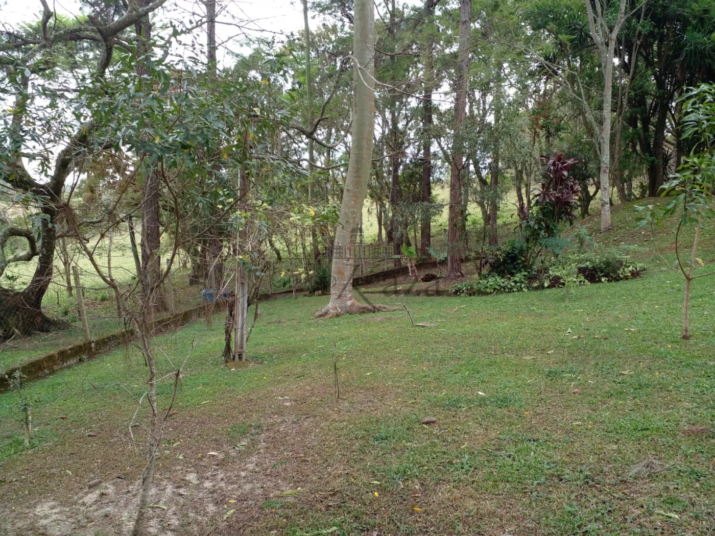Foto 50 de Rural Fazenda em Chácara Itapoã, Jacareí - imagem 50