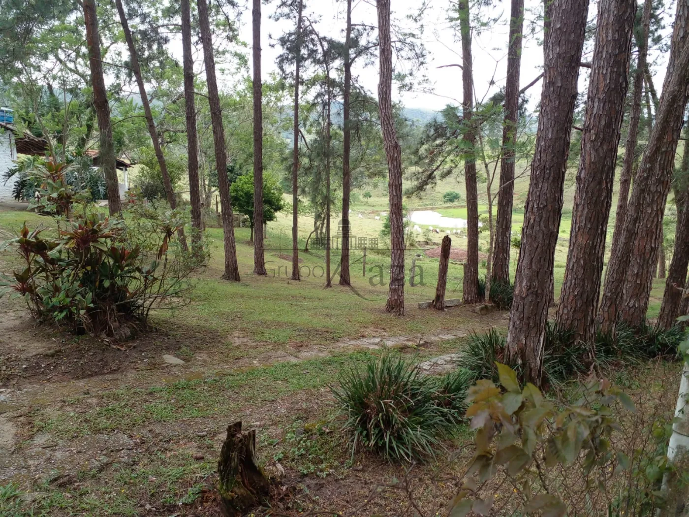 Foto 68 de Rural Fazenda em Chácara Itapoã, Jacareí - imagem 68