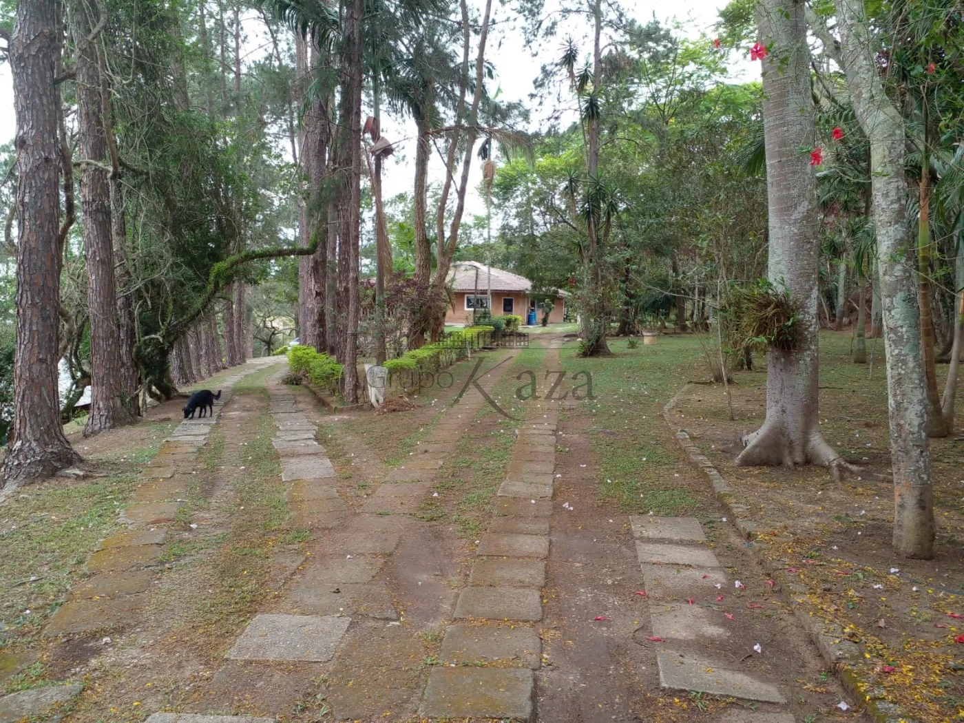 Foto 69 de Rural Fazenda em Chácara Itapoã, Jacareí - imagem 69