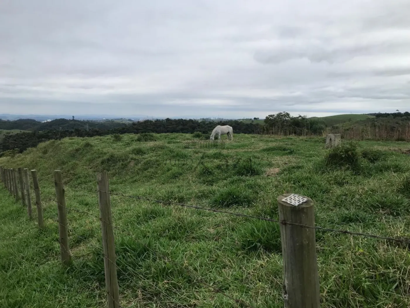 Foto 24 de Rural Sítio em Bandeira Branca, Jacareí - imagem 24