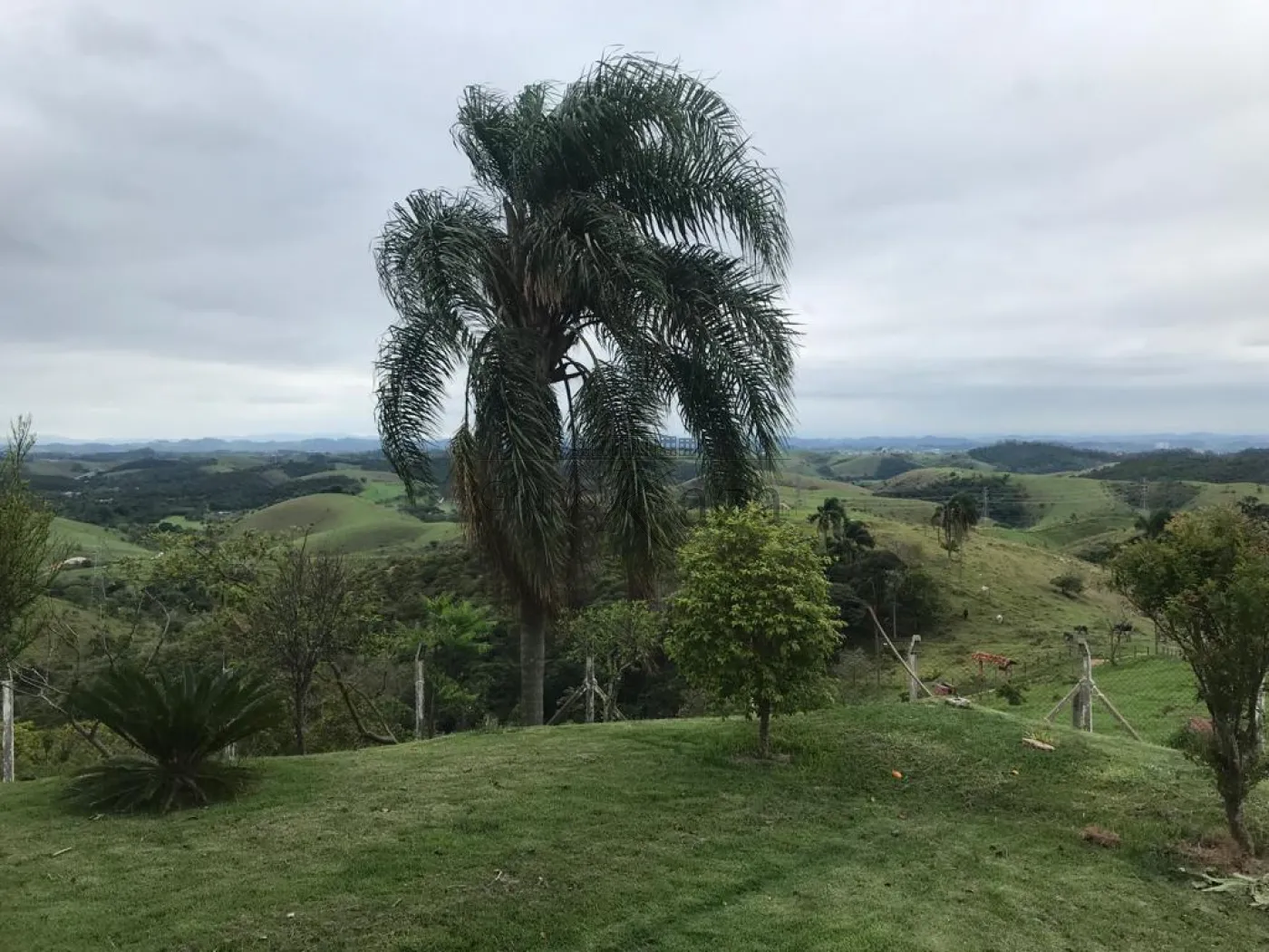 Foto 25 de Rural Sítio em Bandeira Branca, Jacareí - imagem 25