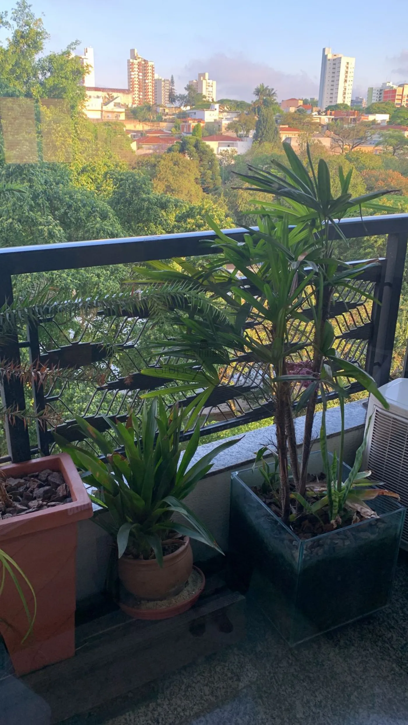 Foto 8 de Apartamento Padrão em Jardim da Saúde, São Paulo - imagem 8