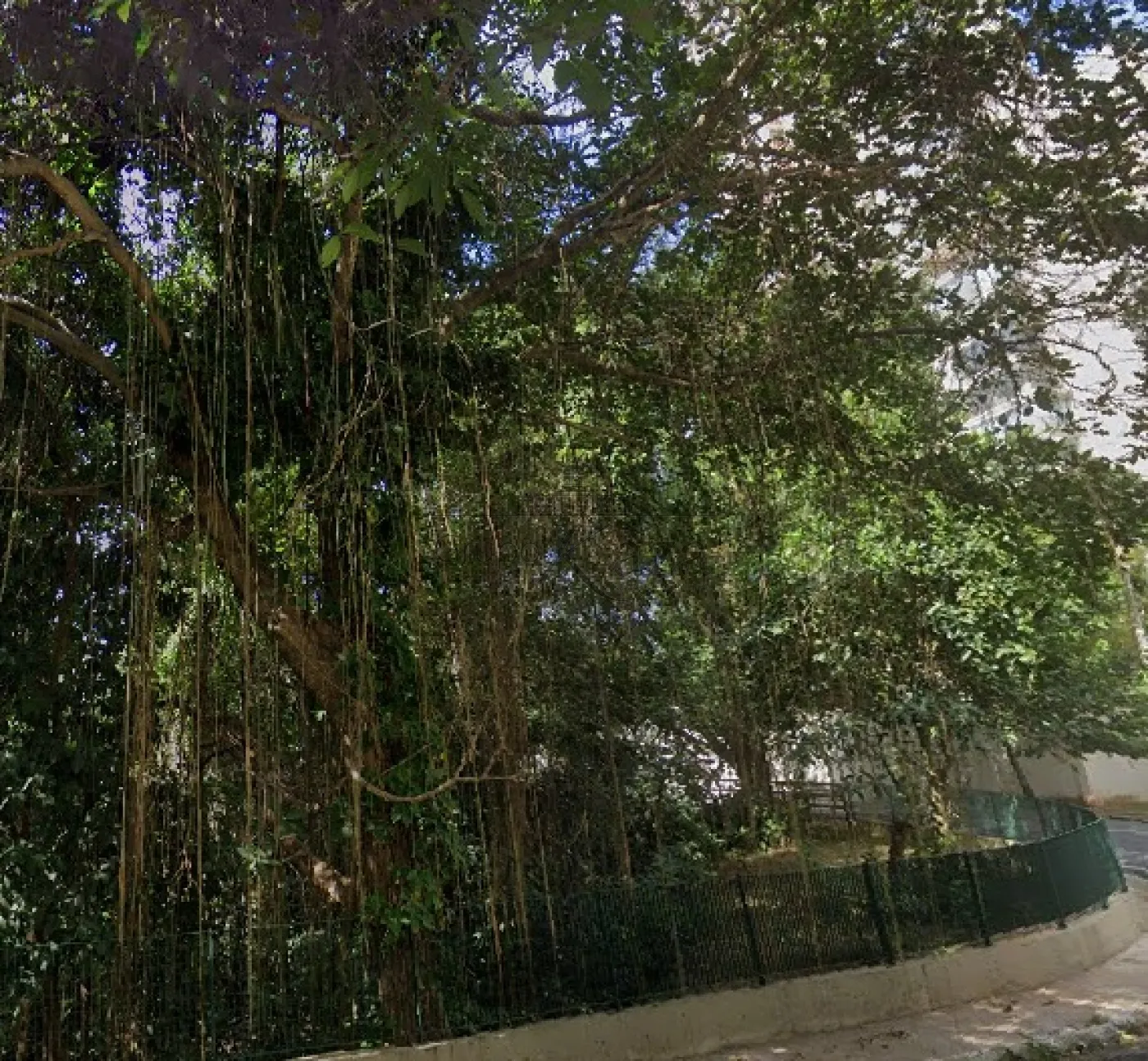 Foto 4 de Terreno Padrão em Vila Andrade, São Paulo - imagem 4