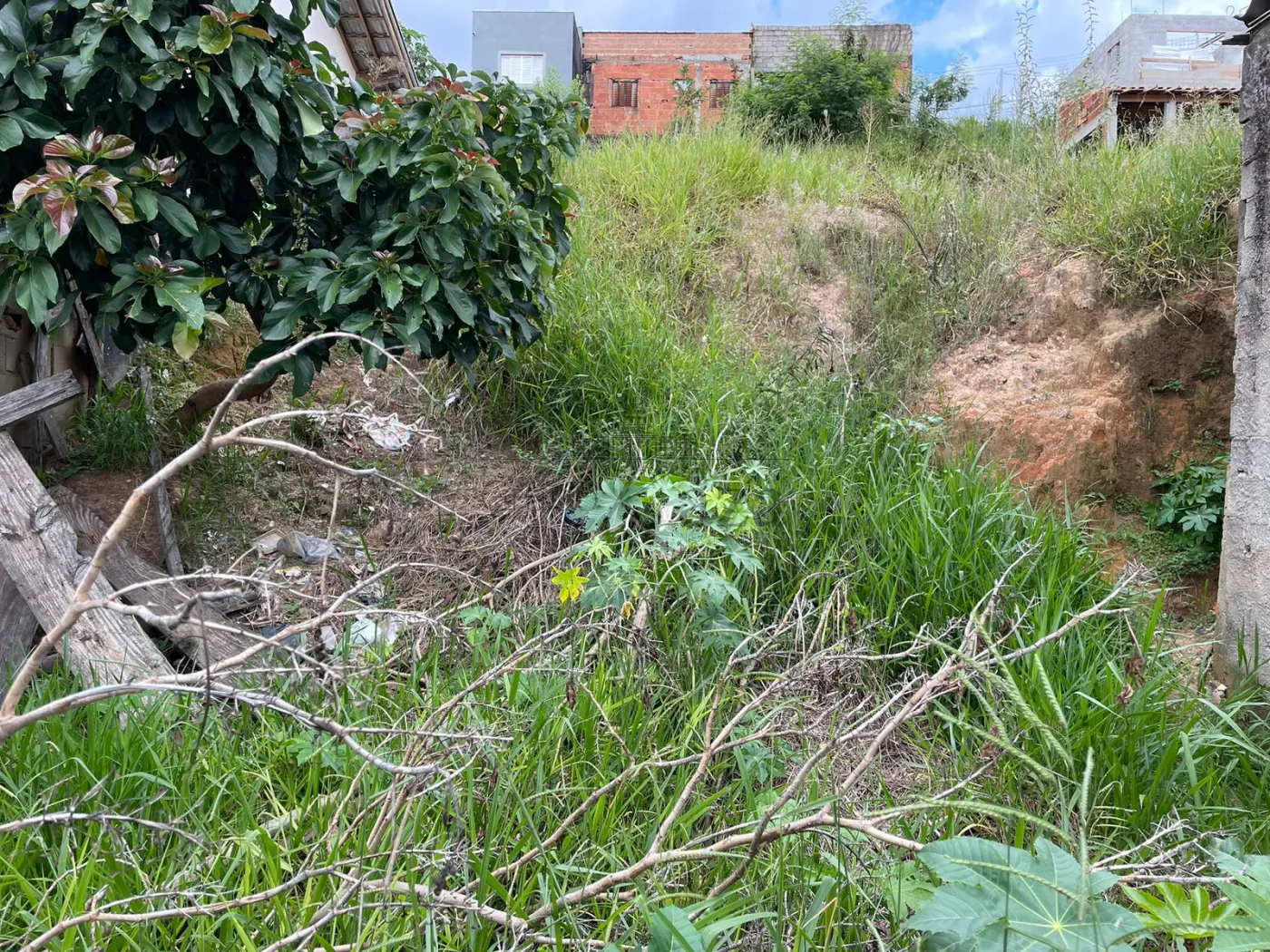 Foto 2 de Terreno Padrão em Jardim dos Bandeirantes, São José dos Campos - imagem 2