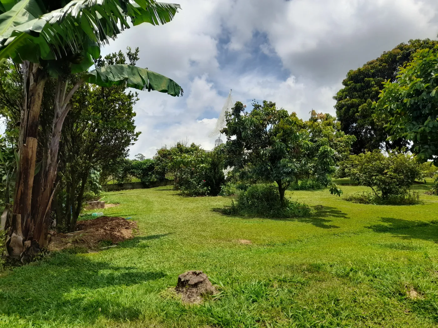 Foto 69 de Rural Sítio em Campininha, São Roque - imagem 69