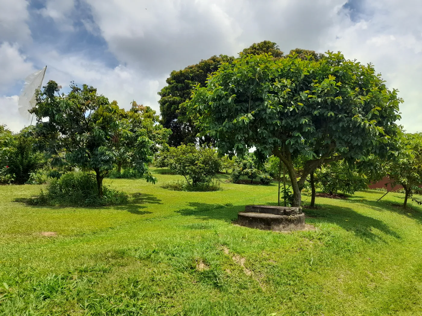 Foto 70 de Rural Sítio em Campininha, São Roque - imagem 70