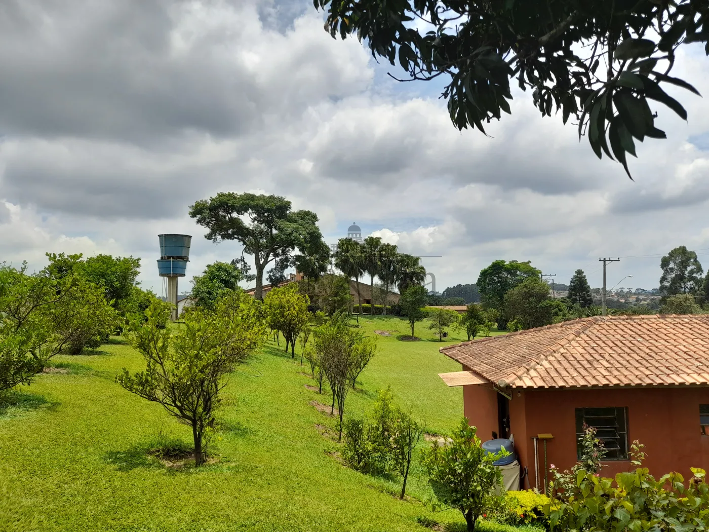 Foto 55 de Rural Sítio em Campininha, São Roque - imagem 55
