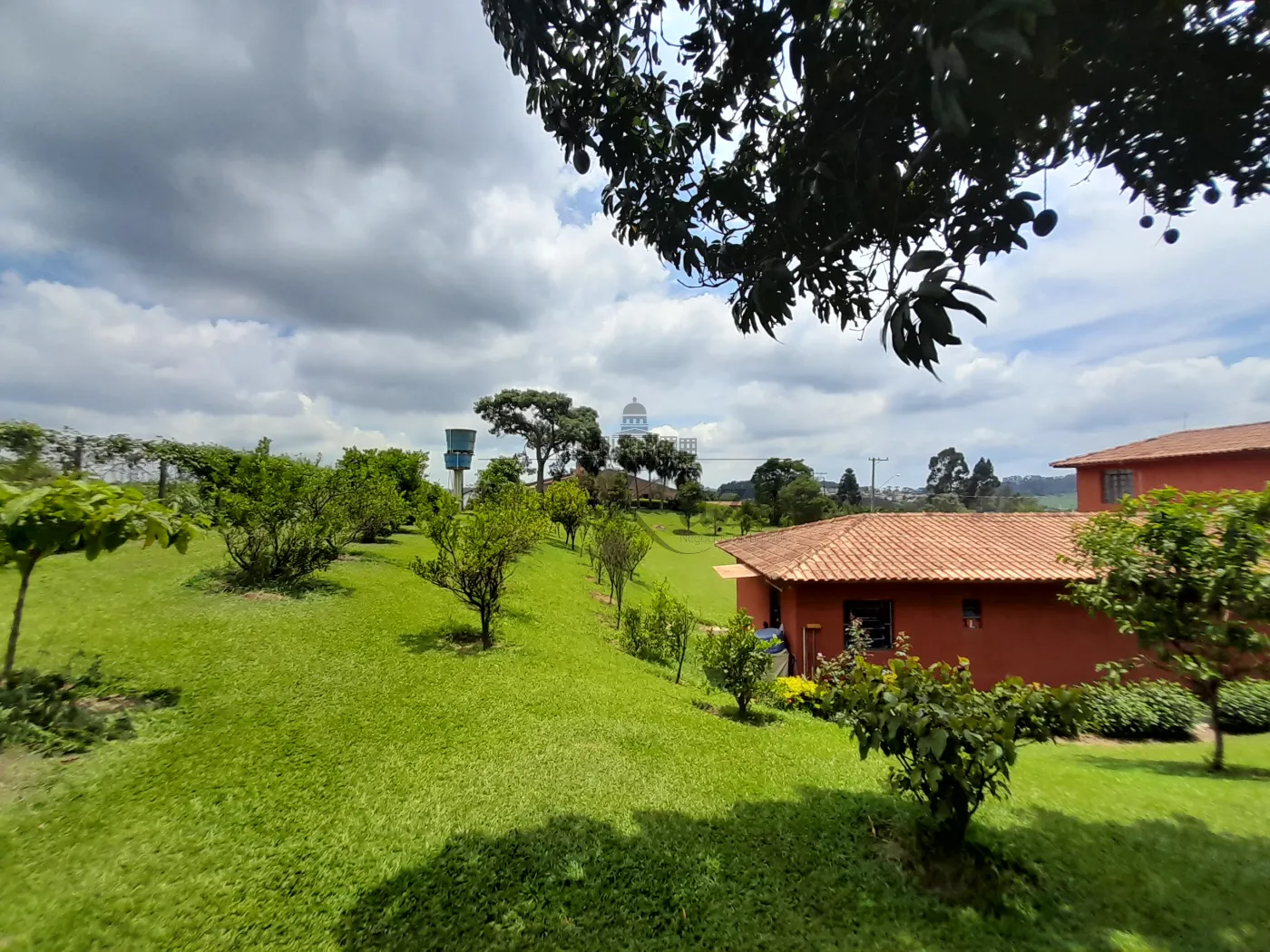 Foto 56 de Rural Sítio em Campininha, São Roque - imagem 56