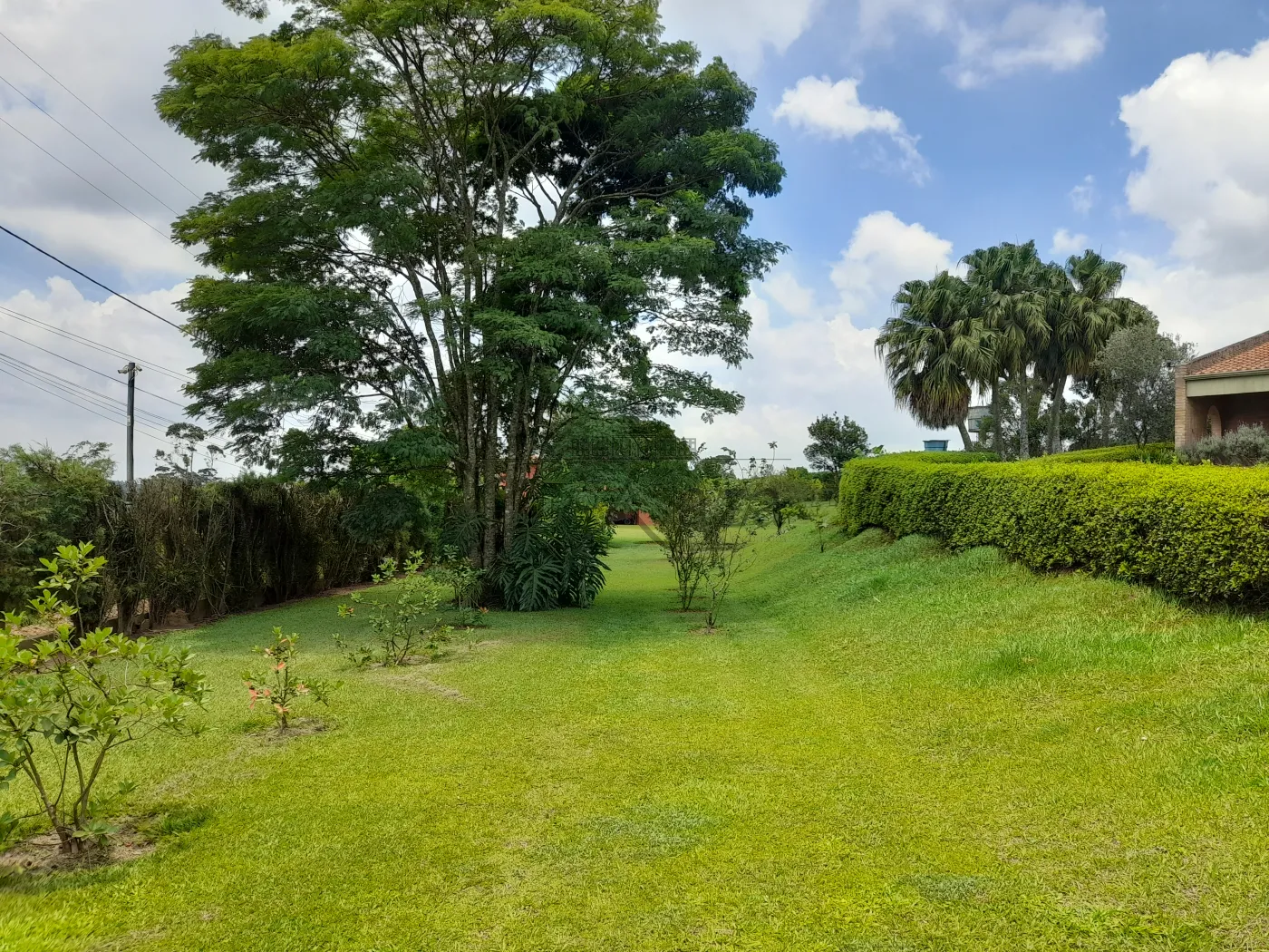 Foto 64 de Rural Sítio em Campininha, São Roque - imagem 64