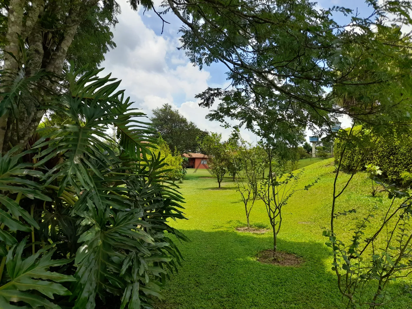 Foto 65 de Rural Sítio em Campininha, São Roque - imagem 65