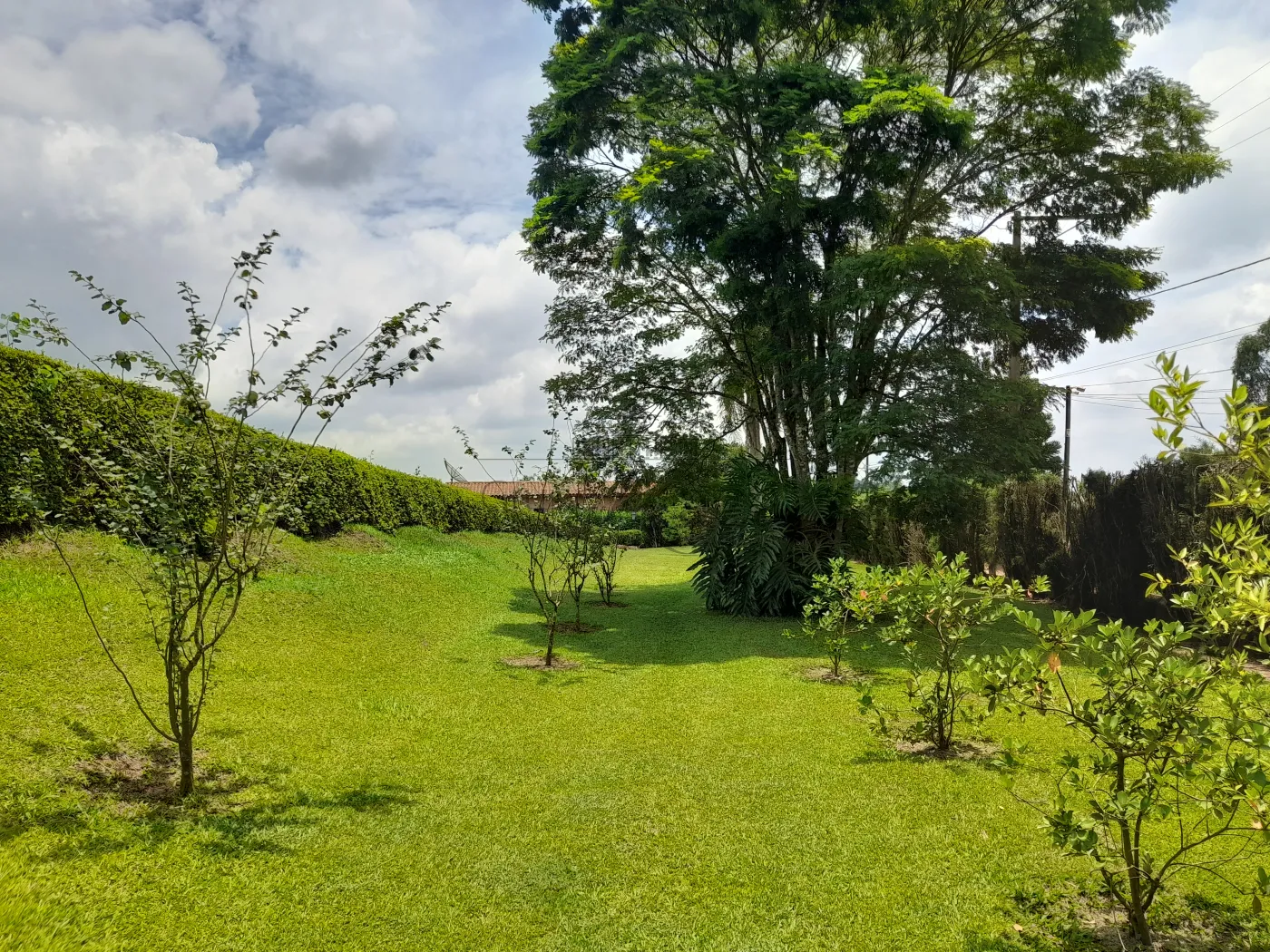Foto 61 de Rural Sítio em Campininha, São Roque - imagem 61
